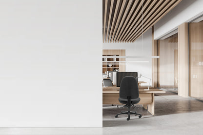 CSXpress Alpha High Back 3-Lever Chair