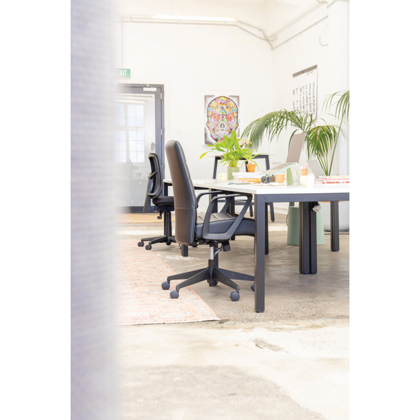 Mondo Plato Chair w/ Arms